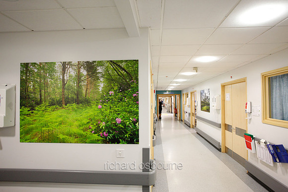 UHSM Wythenshawe Hospital - PhotoPanel, 1350 x 900mm