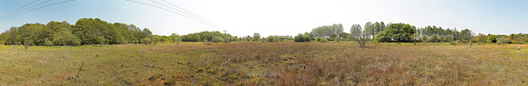 P2L27  NWT Scarning Fen, Norfolk, UK