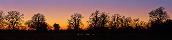 P5F29  Winter Trees Sunset