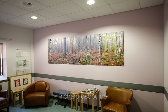 UHSM Wythenshawe Hospital - Panoramic Diptych PhotoPanel, 2700 x 900mm
