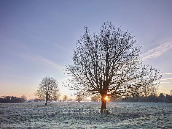 V9N1  NWT New Buckenham Common, Norfolk, UK