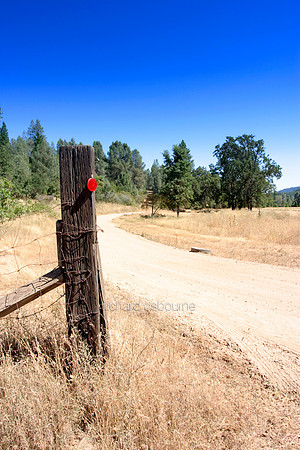 L1TV37 Dry & Dusty, California, USA