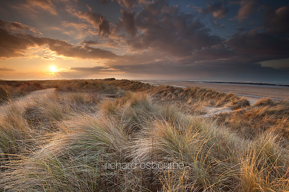 V4N11 Holme Dunes