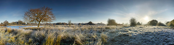 NWT New Buckenham Common, Norfolk, UK