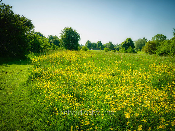V11G1  Rosevale Park, Manchester, UK