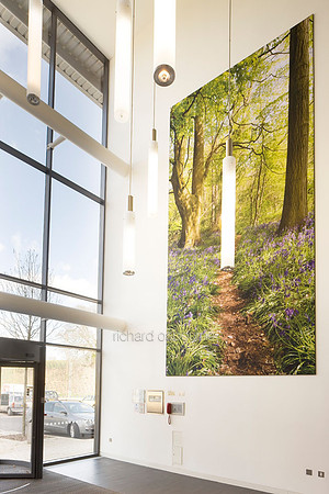 PhotoFab Tension Fabric Wall in Broadland Business Park, Norwich