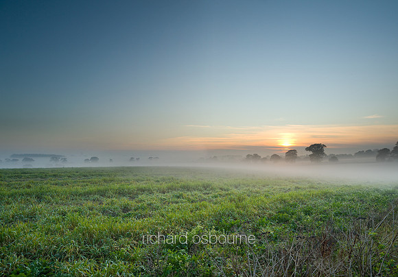 V5N46  Fields and Fog, Winter, Postwick, Norfolk, UK