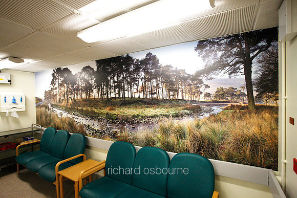 UHSM Wythenshawe Hospital - PhotoWall Laminated Wallpaper, 5m x 1.5m