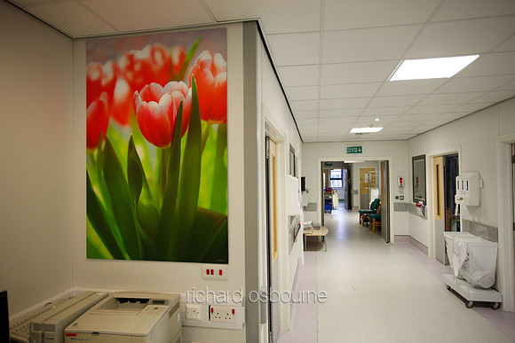 UHSM Wythenshawe Hospital - PhotoPanel, 900 x 1350mm