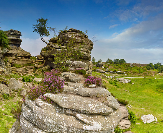 V11L4  Brimham Rocks, North Yorkshire, UK