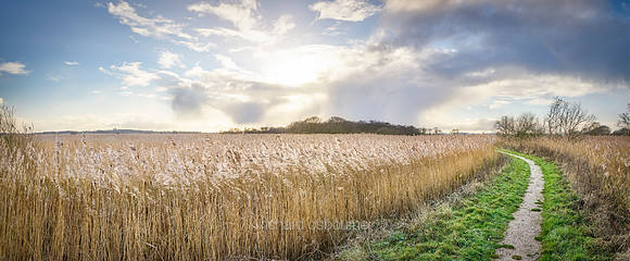 P5L9  NWT Hickling Broad, Norfolk, UK