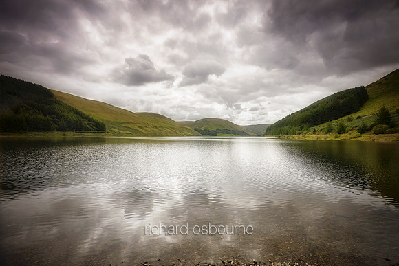 V12L7  Loch Of The Lowes, Dryhope, Scottish Borders, Scotland, UK