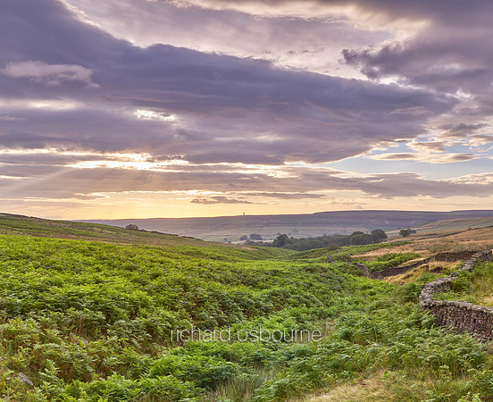 V11L20  Near Masham, Nidderdale, Yorkshire Dales, North Yorkshire, UK