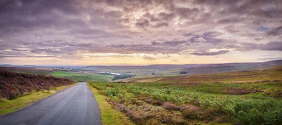 P5L12  Near Masham, Nidderdale, Yorkshire Dales, North Yorkshire, UK