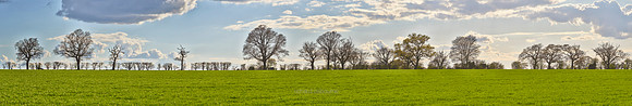 P5L13  Winter Oaks, England