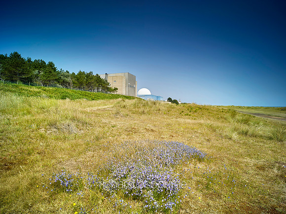 V16L7  Sizewell Nuclear Power Station, Suffolk, UK