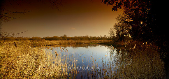 P5L26  Wheatfen - Ted Ellis Nature Reserve, Norfolk, UK