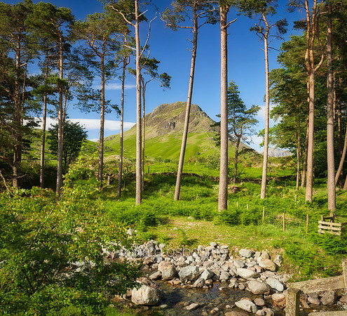 V16L14  Yewbarrow, Wastwater, Lake District, UK