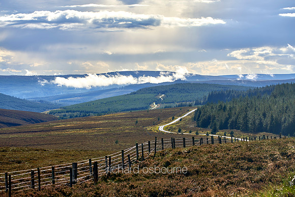 V12L4  View From Blakehope Nick, Kielder Forest Drive, Northumberland, UK