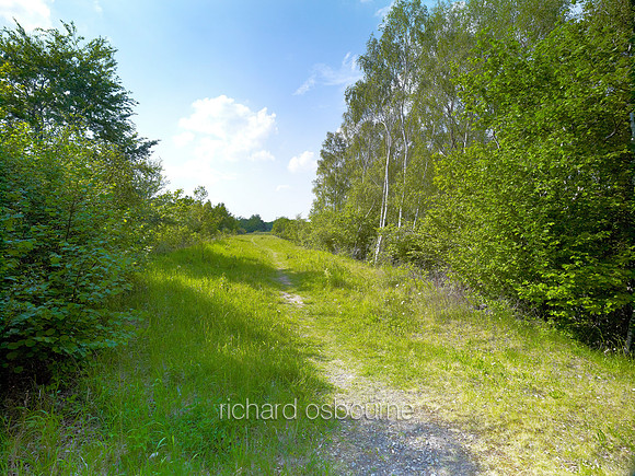 V6N32  NWT Narborough Railway Line, Norfolk, UK
