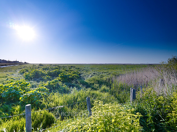 V6N38  Salthouse Marshes, Norfolk, UK