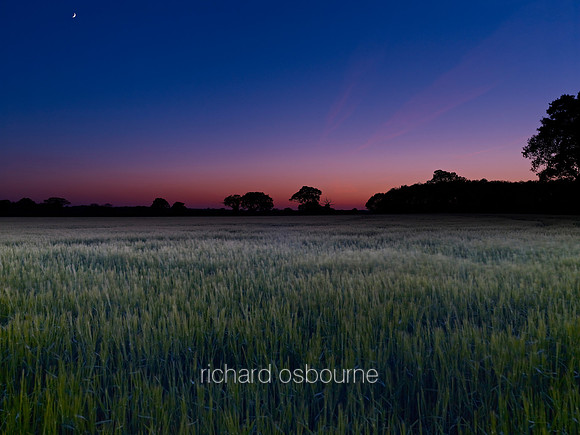 V6N42  Dusk, Wheatfield, Norfolk, UK