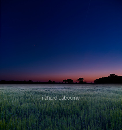 V6N43  Dusk, Wheatfield, Norfolk, UK
