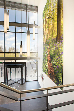 PhotoFab Tension Fabric Wall in Broadland Business Park, Norwich