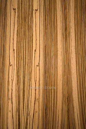 V7BG1  Olive Wood