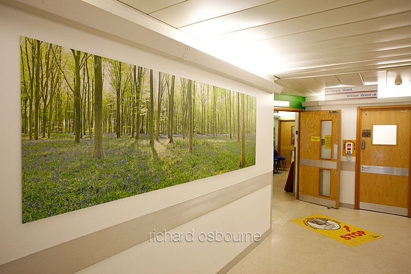 UHSM Wythenshawe Hospital - Panoramic Diptych PhotoPanel, 2700 x 900mm