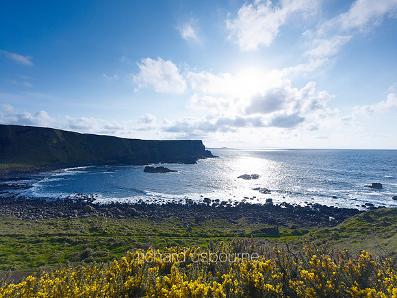 V6L1  near The Giant's Causeway, Co.Antrim, Northern Ireland, GB