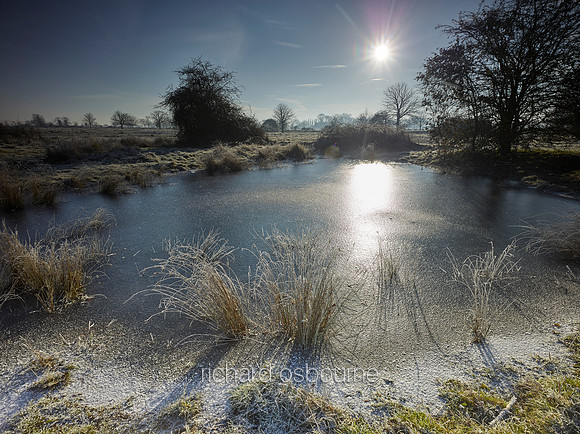 NWT New Buckenham Common, Norfolk, UK
