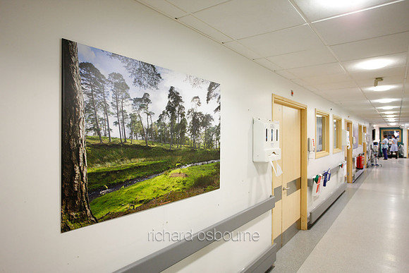 UHSM Wythenshawe Hospital - PhotoPanel, 1350 x 900mm