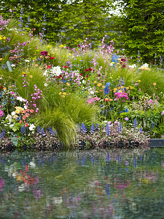 V7G7  Wildflower Garden, Chelsea Flower Show 2013, London, UK