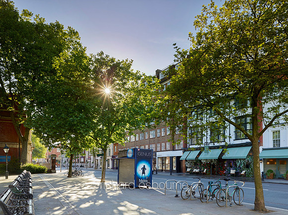 Dove House Green and The Ivy, Chelsea for Property Developer