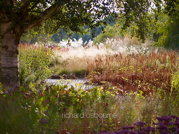 V6G20  The Millennium Garden, Pensthorpe Wildlife Park, Norfolk