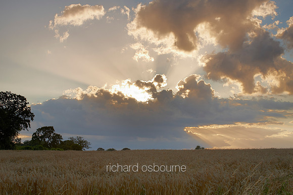 V6N3  Sunset, Summer, Norfolk, UK