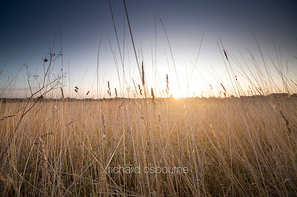 V7N7  Summer Dawn, Norfolk, UK