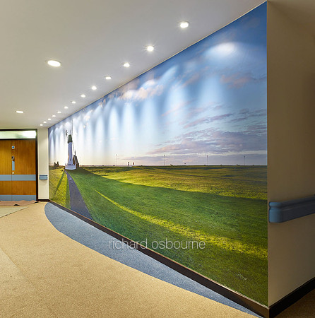 PhotoWall Laminated Wallpaper 8.5 x 2.4m