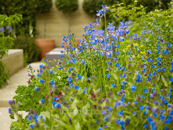 V7G4  Garden, Chelsea Flower Show 2013, London, UK