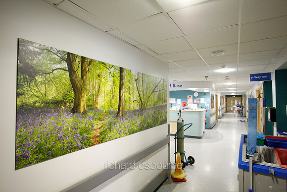 UHSM Wythenshawe Hospital - Panoramic Diptych PhotoPanel, 2700 x 900mm
