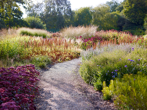 V6G21  The Millennium Garden, Pensthorpe Wildlife Park, Norfolk