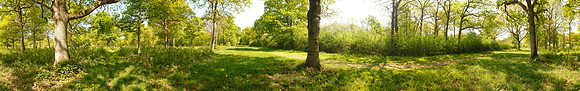 P2F11  NWT Foxley Wood, Norfolk, UK