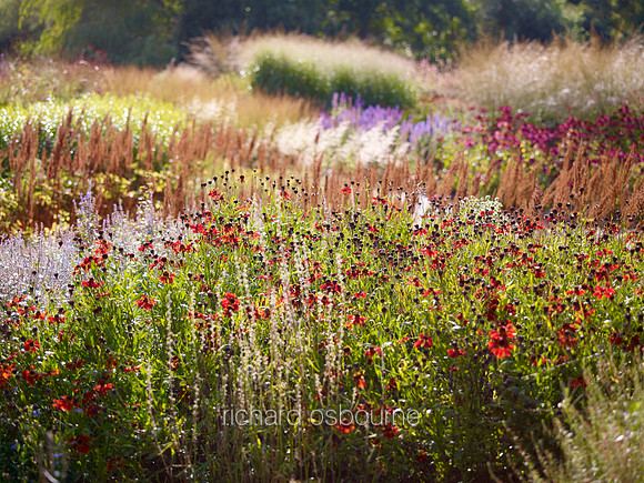 V6G19  The Millennium Garden, Pensthorpe Wildlife Park, Norfolk