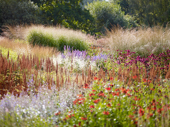 V6G15  The Millennium Garden, Pensthorpe Wildlife Park, Norfolk
