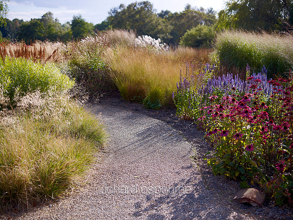 V6G22  The Millennium Garden, Pensthorpe Wildlife Park, Norfolk