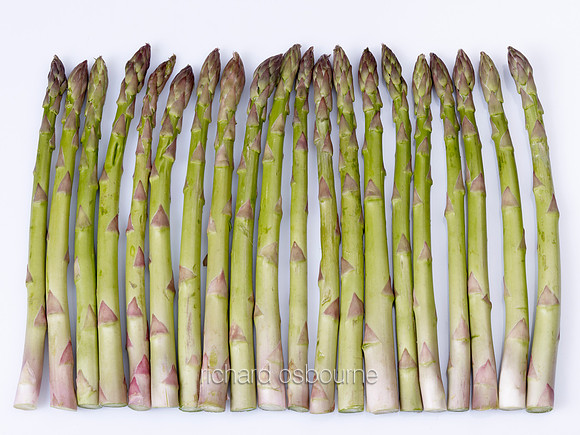V8FD13  Asparagus