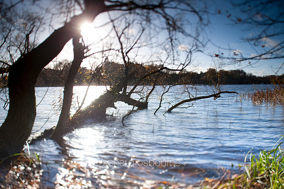 V4L6 Norfolk Broads Winter III
