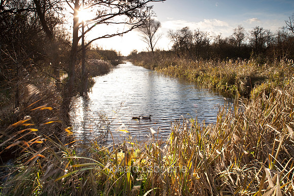 V4N19 Bure Marshes and Cockshoot Broad