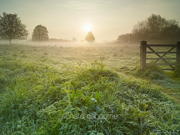 V9N20  NWT New Buckenham Common, Norfolk, UK